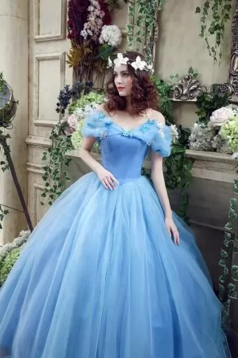 Ball Gown Plus Size Prom Dresses,Princess,Vintage Blue Cinderella Dresses ER1057