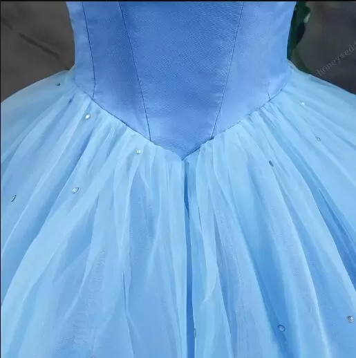 Ball Gown Plus Size Prom Dresses,Princess,Vintage Blue Cinderella Dresses ER1057