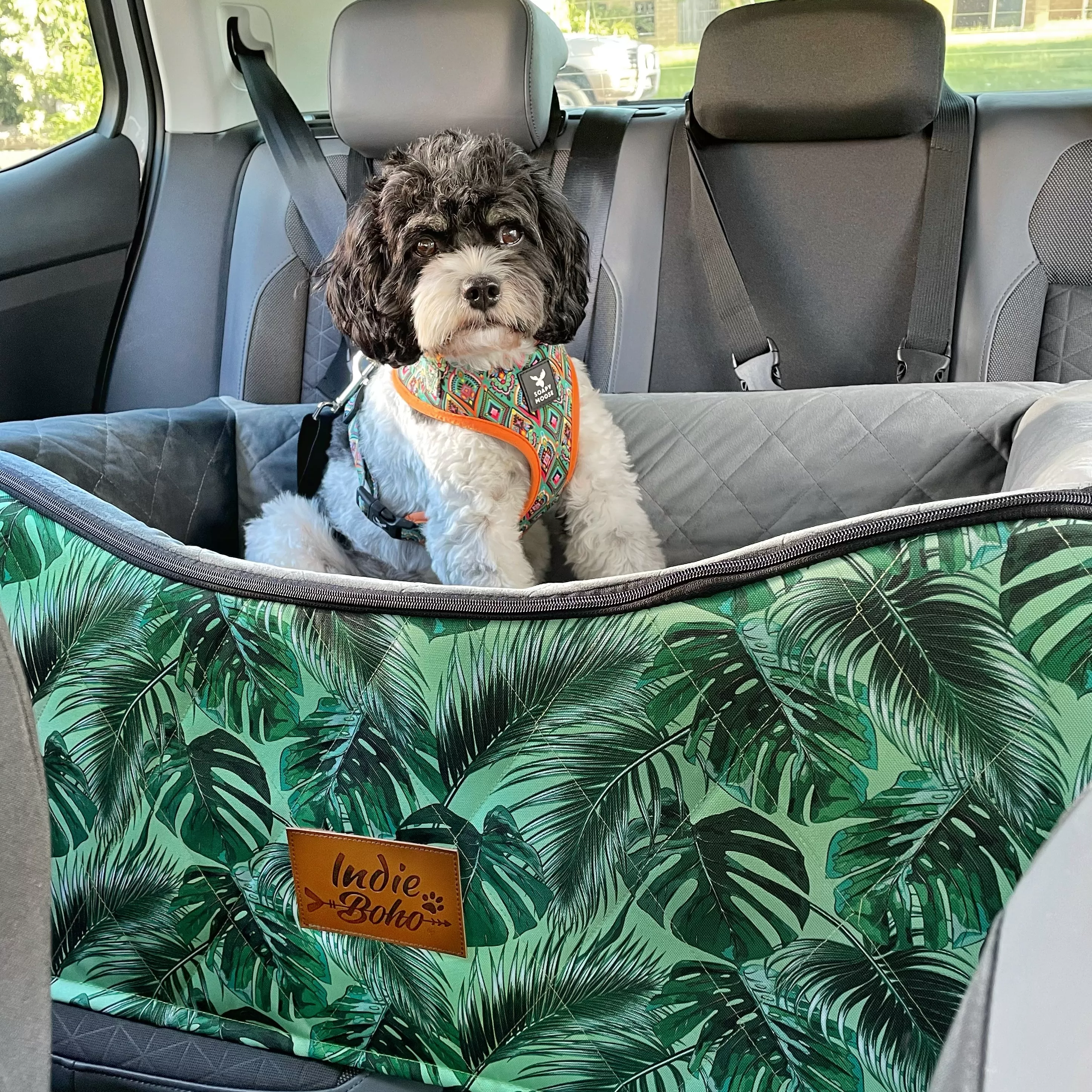 Car Pet Booster Seats DOUBLE Size - Tropical Leaves