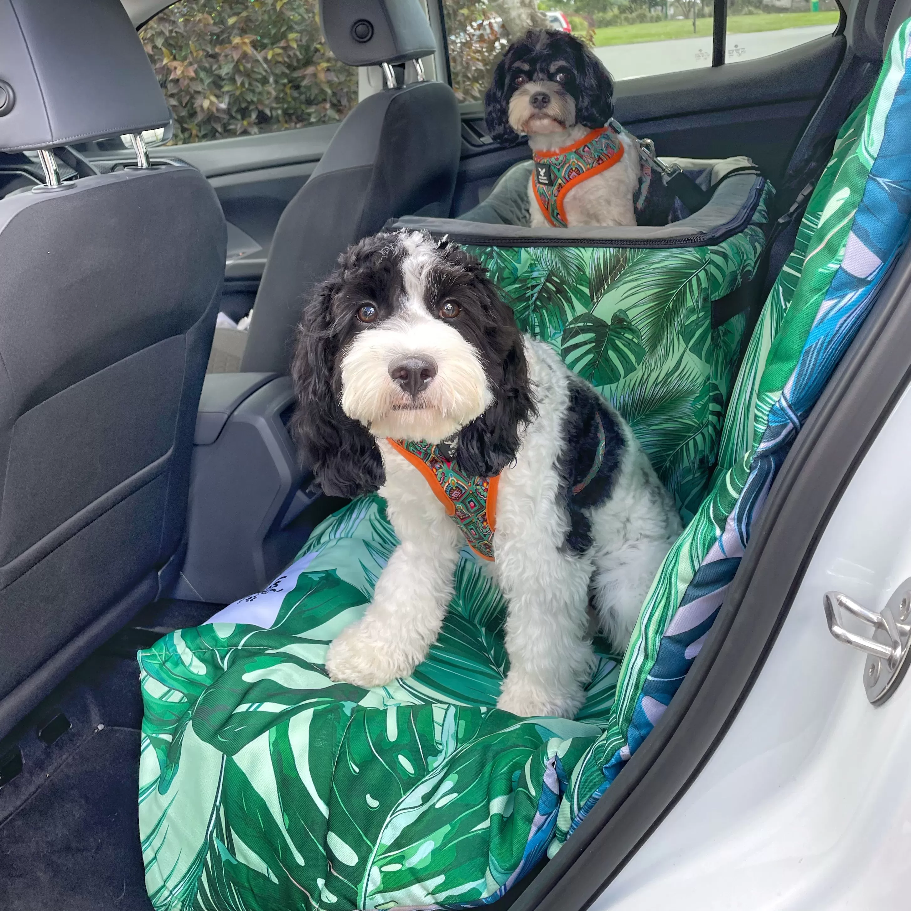 Car Pet Booster Seats DOUBLE Size - Tropical Leaves