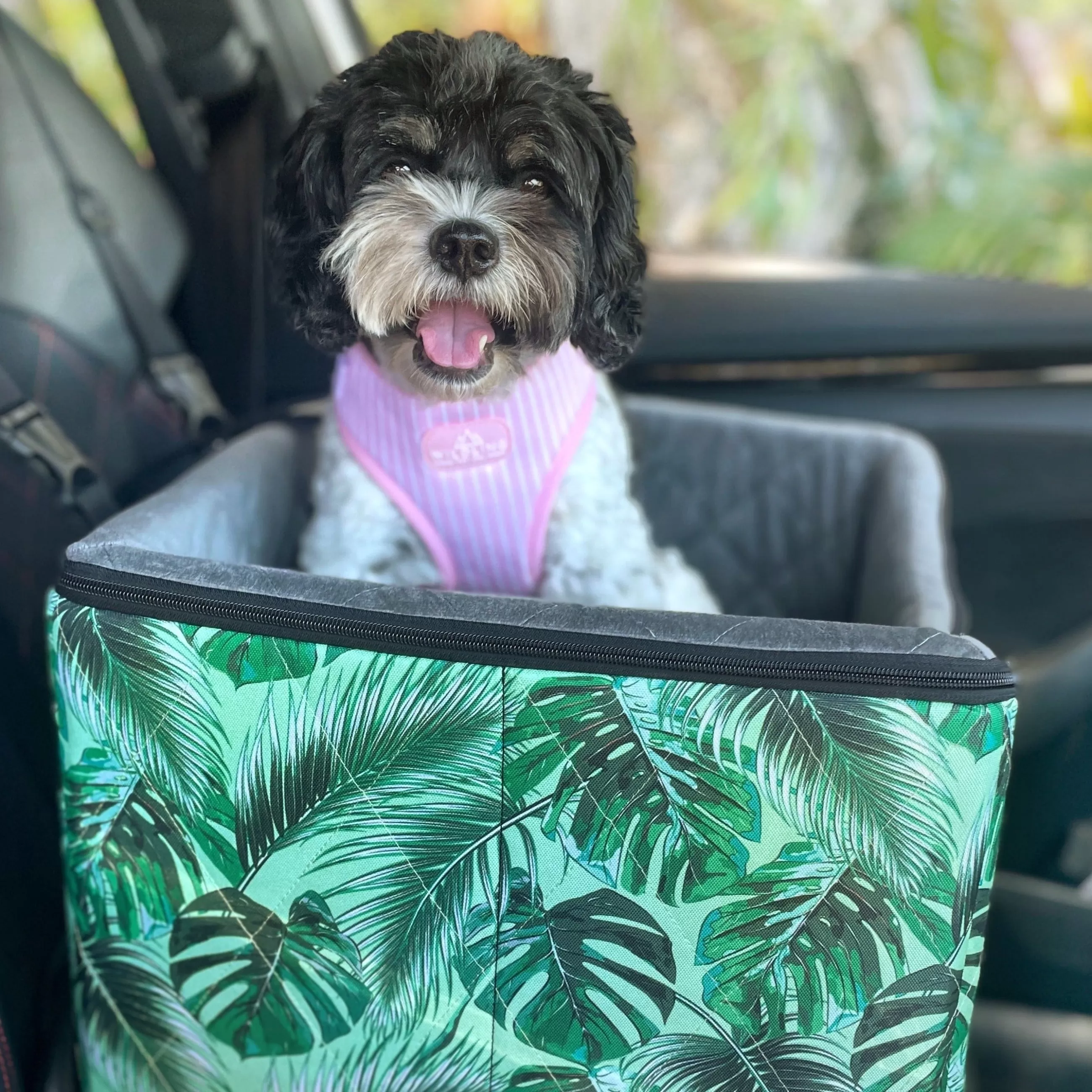 Car Pet Booster Seats SINGLE Size  - Tropical Leaves