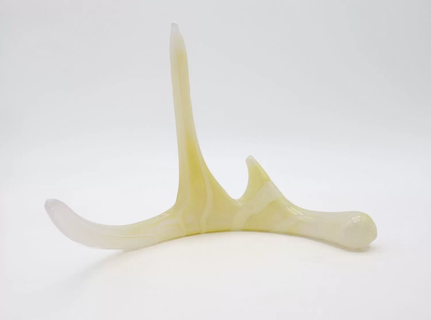 Set of Glass Deer Antlers with Cremation Ash