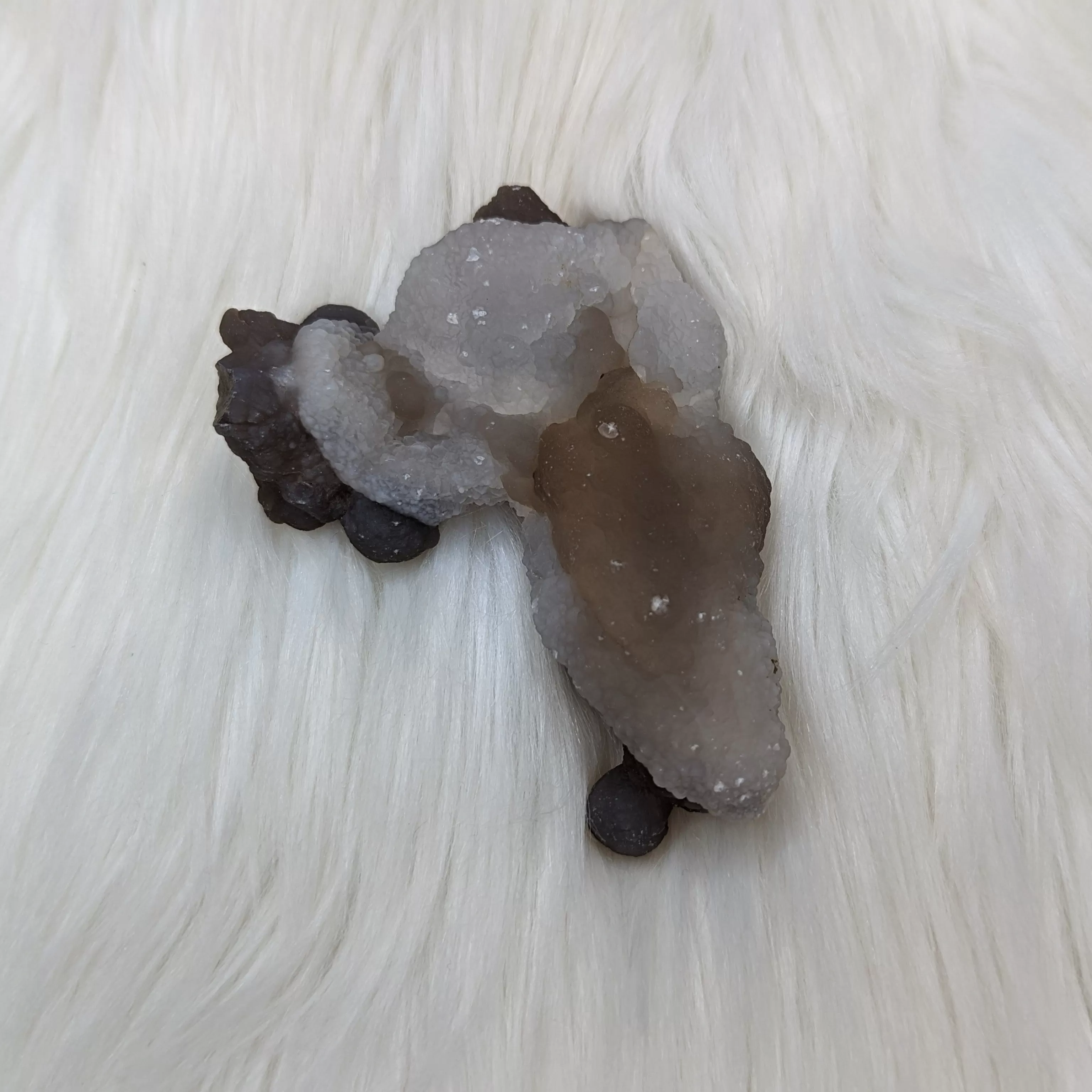 Truffle Chalcedony Specimens ~ Medium Size  Specimens from Morocco