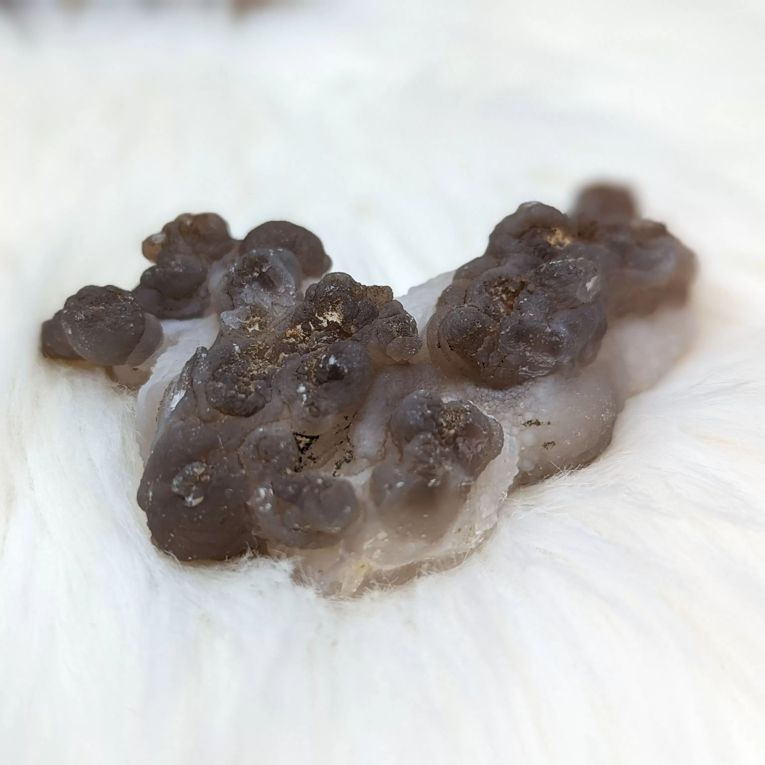 Truffle Chalcedony Specimens ~ Medium Size  Specimens from Morocco