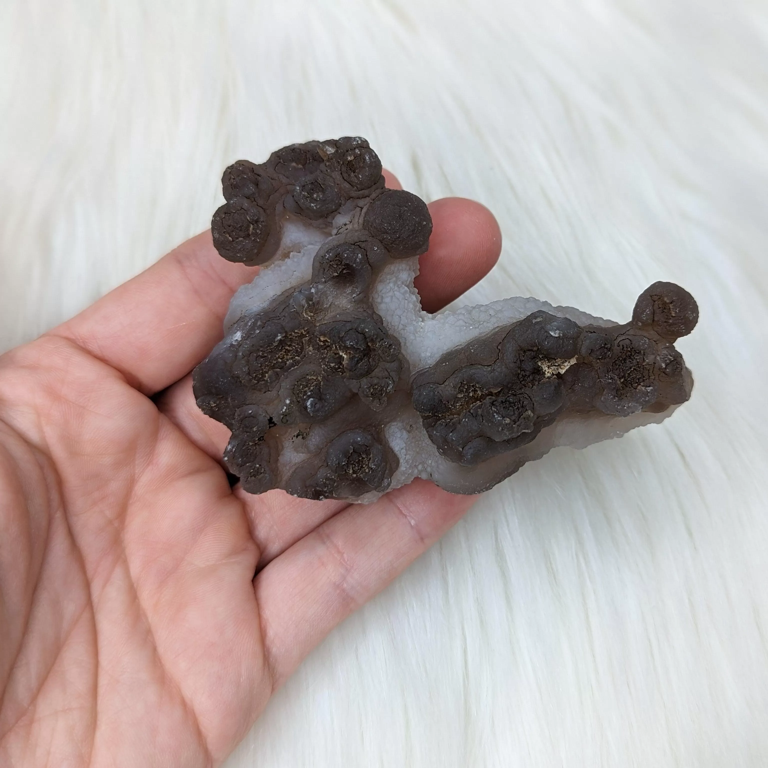 Truffle Chalcedony Specimens ~ Medium Size  Specimens from Morocco