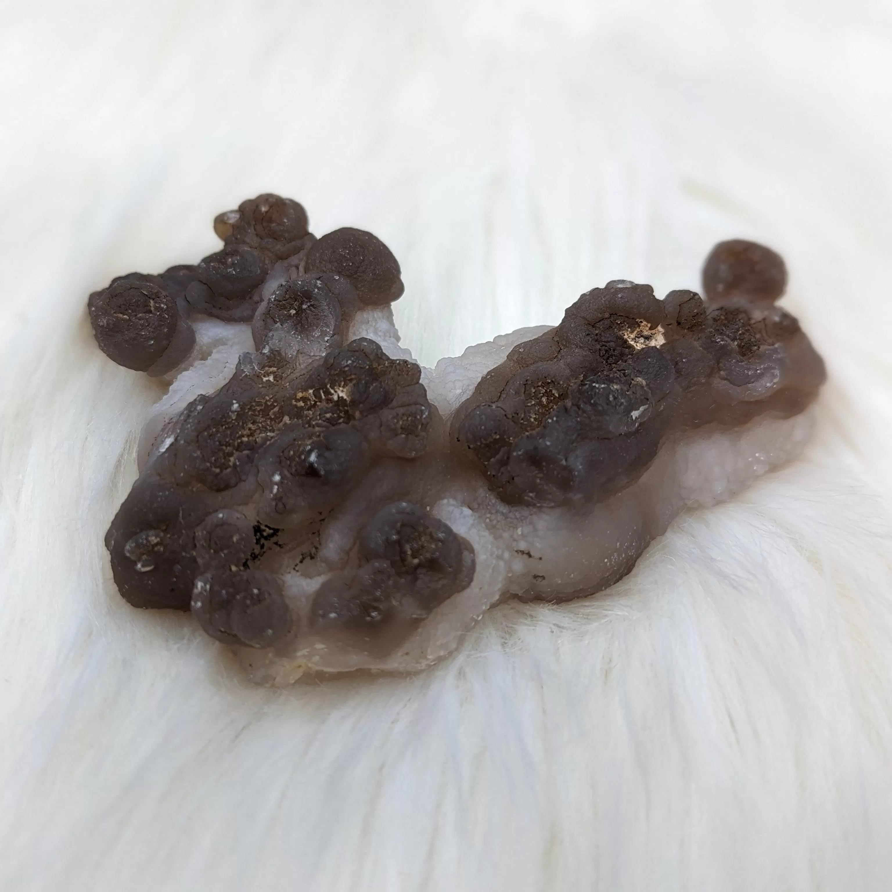 Truffle Chalcedony Specimens ~ Medium Size  Specimens from Morocco