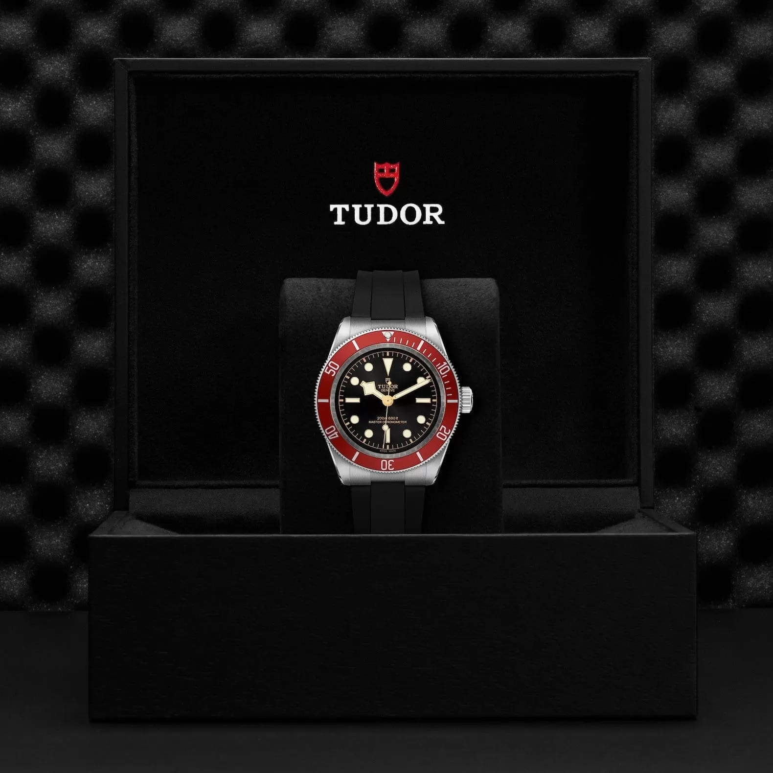 TUDOR Black Bay 41 Steel M7941A1A0RU-0002